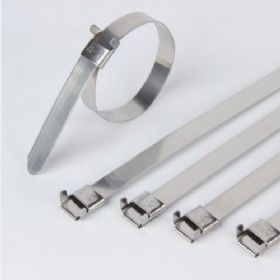 L Type Uncoated Cable Tie