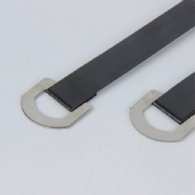 D Type Epoxy Coated Cable Tie